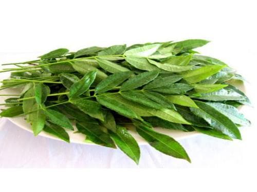MAKOV LEAVE FRESH 10LB