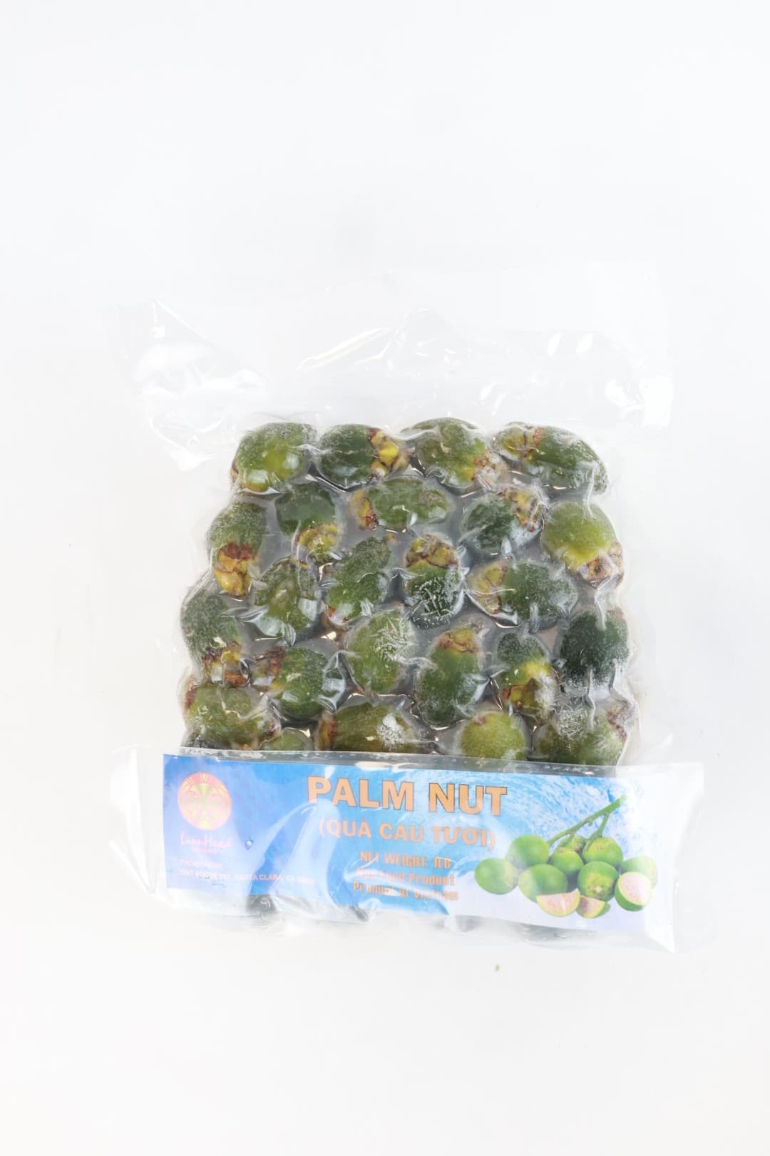 Frozen Palm Nut Lionhead