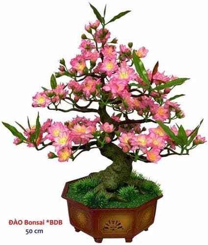 HOA DAO BONSAI 50CM