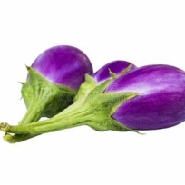 EGGPLANT THAI PURPLE 