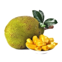 JACKFRUIT ORANGE 1