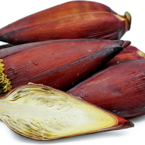  BANANA FLOWER 