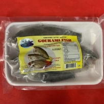 GOURAMI FISH H/L 100/UP 30X14OZ