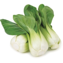  SHANGHAI BOK CHOY 