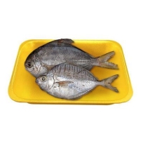 WHOLE ROUND BUTTER FISH 100/200 - 10X2LBS