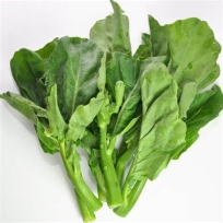 CHINESE BROCCOLI - GAILAN 