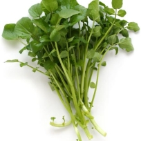 WATERCRESS