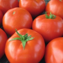 LARGE TOMATO 