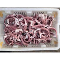 SQUID TENTACKLE LOLIGO 5-10 - 30/40 TRAY