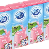 DUTCH LADY STRAWBERRY 48X180ML