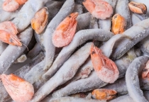 Is frozen food good? Benefits of using frozen food