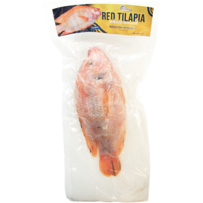 RED TILAPIA 500-800 Size 40#