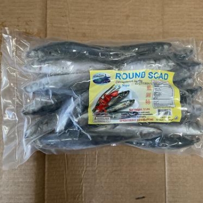 ROUND SCAD - 15X2LBS