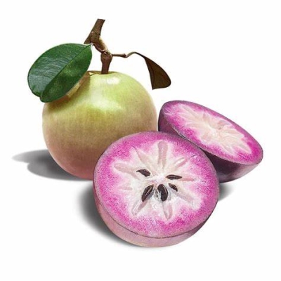 STAR APPLE