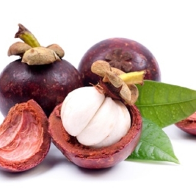 MANGOSTEEN THAI LAN -1351 - BY LBS