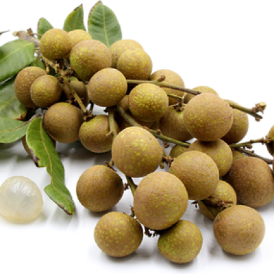 LONGAN HW