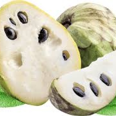 CHERIMOYA M