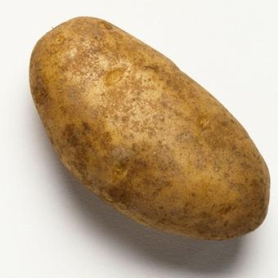 POTATO RUSSET USA