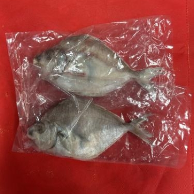 WHOLE ROUND PONY FISH IQF 100/200 IWP - 1X40LBS