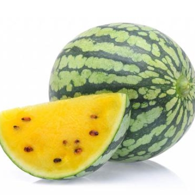 WATERMELON YELLOW FLESH TII