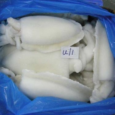 CUTTLEFISH WHOLE CL 1/2 IQF ( 80%)