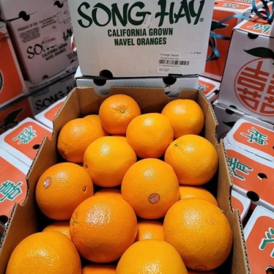 ORANGE SONG HI 