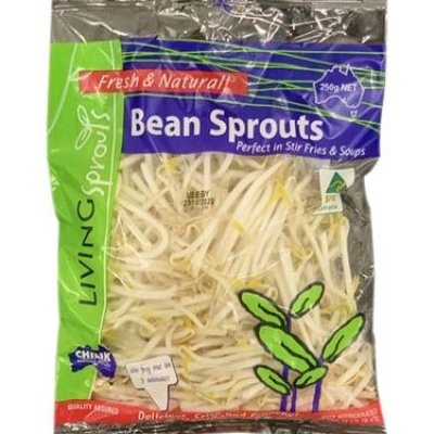 BEAN SPROUT 1