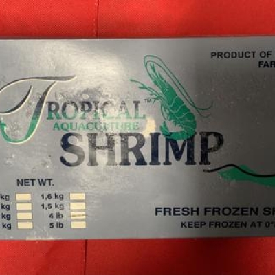 TROPICAL RAW SHRIMP HLSO - 21/25 - 10X4LBS