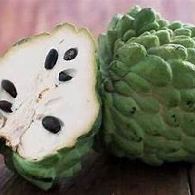 CHERIMOYA