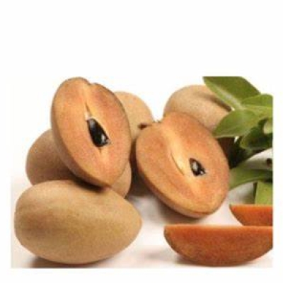 SAPOTE