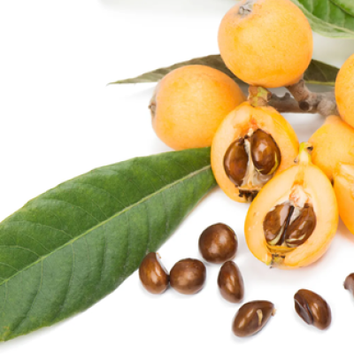 LOQUAT CLAMSHELL 