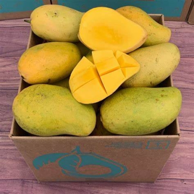 MANGO MINGOLO