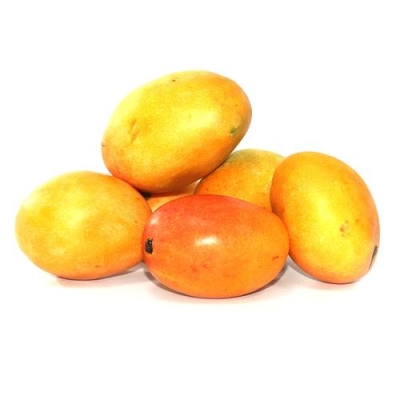 MANGO CRIOLLO