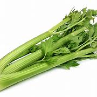 CELERY