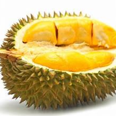 DURIAN