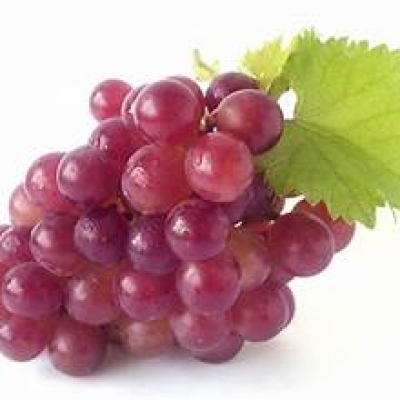 GRAPE FLORIDA