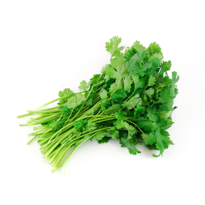  CILANTRO 