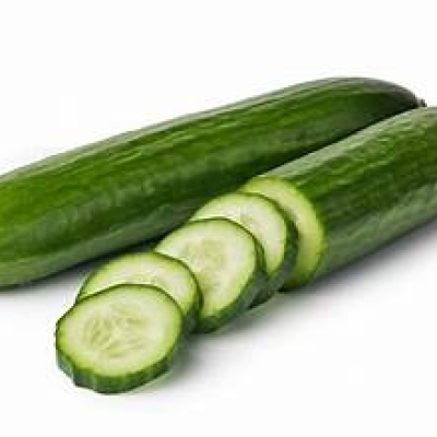 CUCUMBER LRG SUNFED