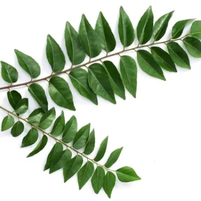  CURRY LEAF