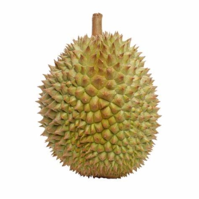 RI6 DURIAN WHOLE