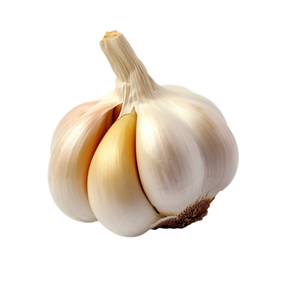 GARLIC 