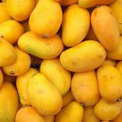 MANGO AUSTRALIAN