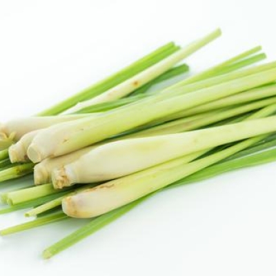  LEMON GRASS 