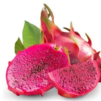 YW RED DRAGON FRUIT VN 