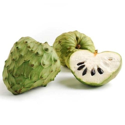 CHERIMOYA CHILE