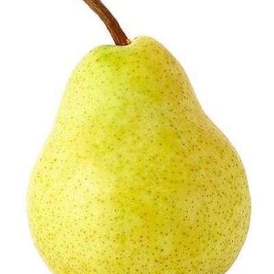 PEAR SINGLE