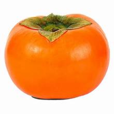 PERSIMMON SIZE M