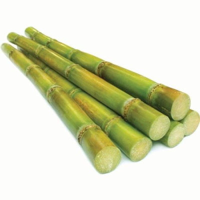 SUGARCANE GREEN 