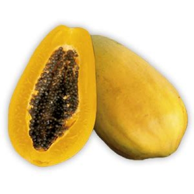 PAPAYA YELLOW 8-9 MX