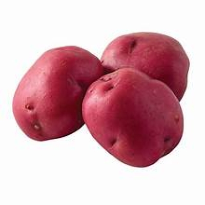 POTATO RED